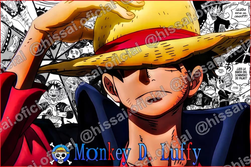 Estuche Monkey D. Luffy