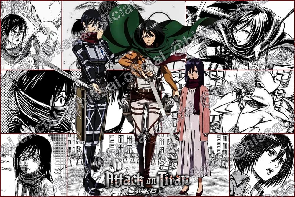Estuche Mikasa